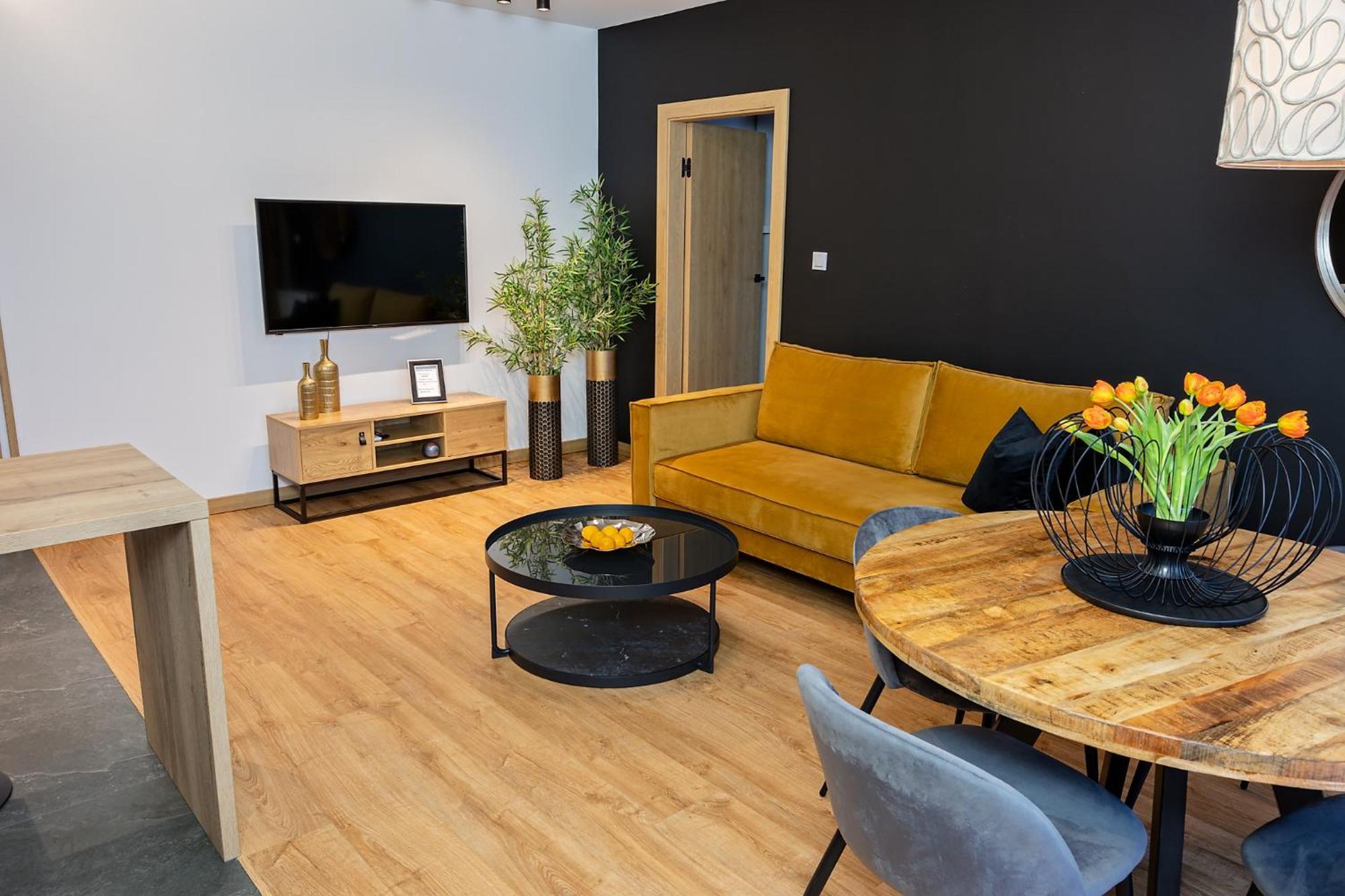Apartment Apartamenty Studio Busko Zdroj